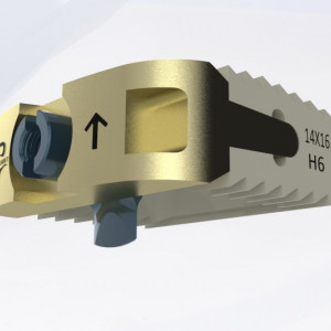 EOS BLADED CERVICAL PEEK CAGE