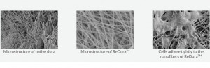 Substituent dural ReDura Enlife 