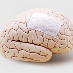 Substituent dural ReDura Enlife 