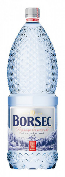 Borsec Apa Plata 2L