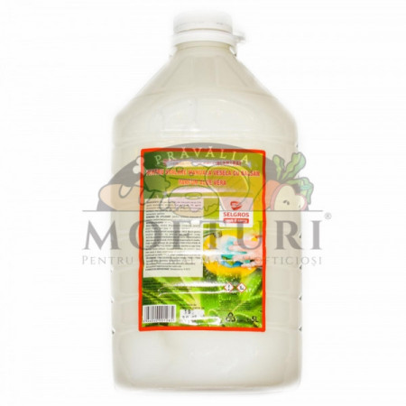Economic Detergent Superconcentrat Aloe Vera 5L