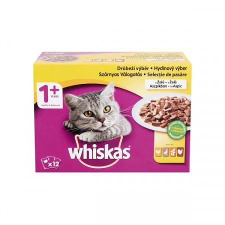 Whiskas Hrana Umeda pentru Pisici Adulte 1+ Pachet Selectie de Pasare in Sos 12buc x 100g