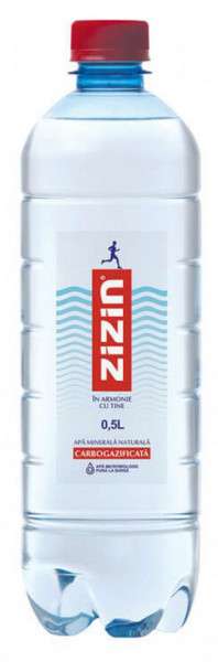 Zizin Apa Minerala 500ML