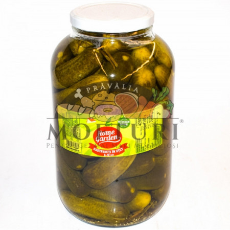 Home Garden Castraveti 9-12Cm 4100G