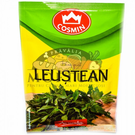 Cosmin Leustean 6G