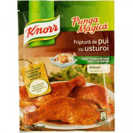Knorr Punga Magica Mix de Condimente pentru Friptura de Pui cu Usturoi 28g