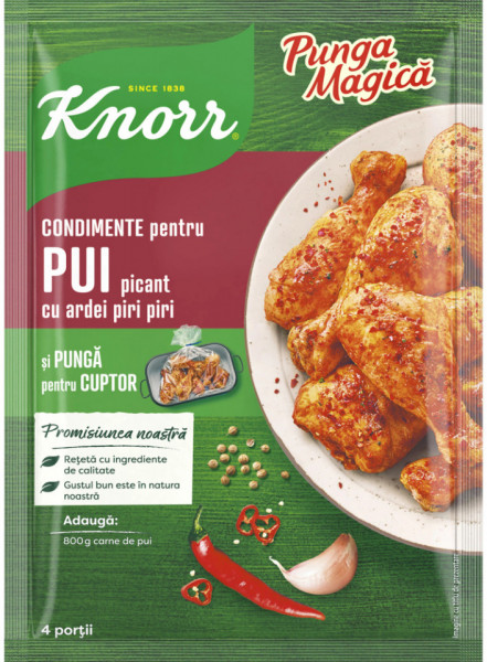 Knorr Punga Magica Mix de Condimente pentru Friptura de Pui Picant 29g