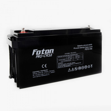 Acumulator VRLA cu gel Foton FD12-65Ah