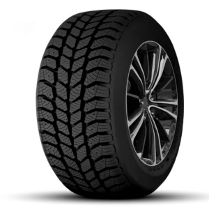 Anvelopă iarnă 195 65 15 Eco Polar Grip