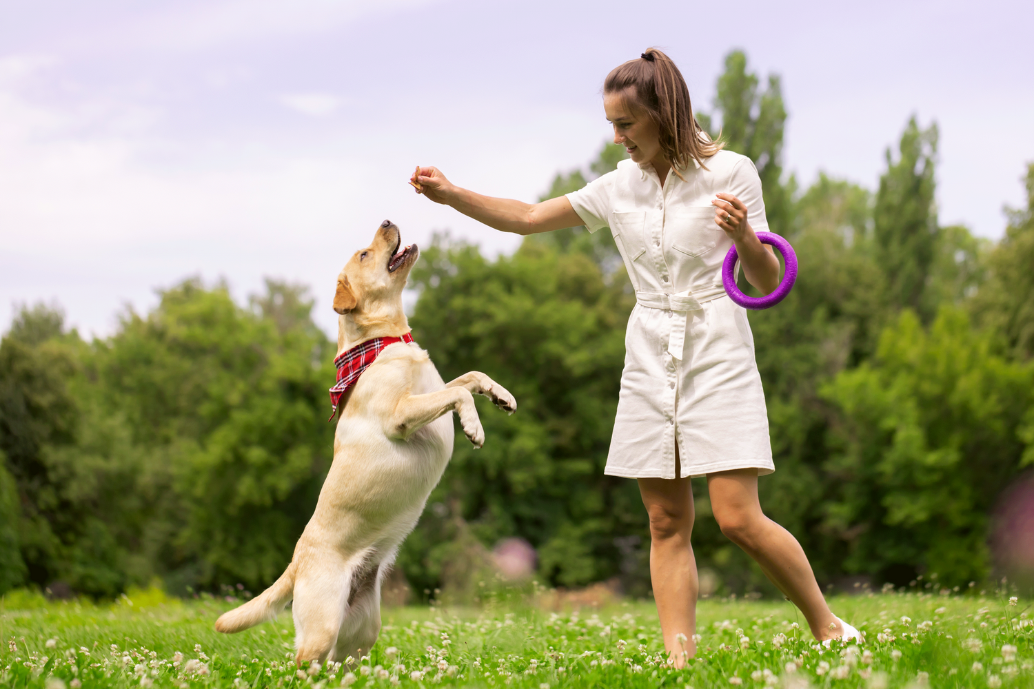 Activitatea fizică la animale – cât este prea mult sau prea puțin?