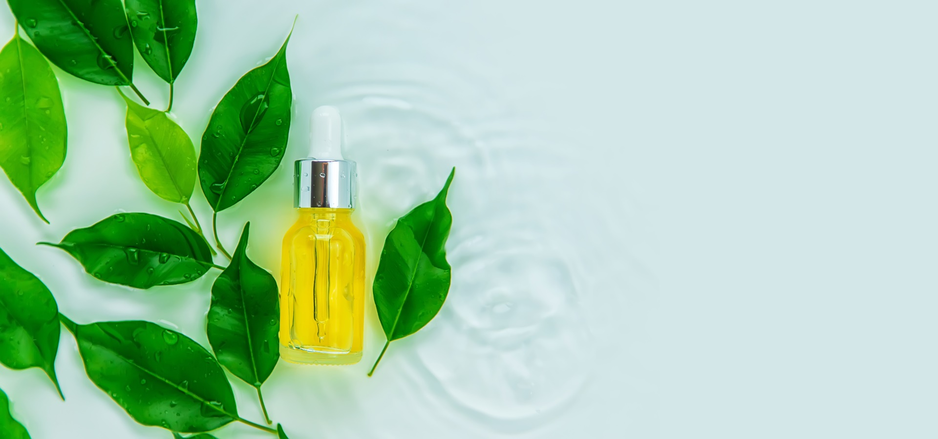Ulei de arbore de ceai (Tea Tree) în cosmetică – beneficii și utilizări