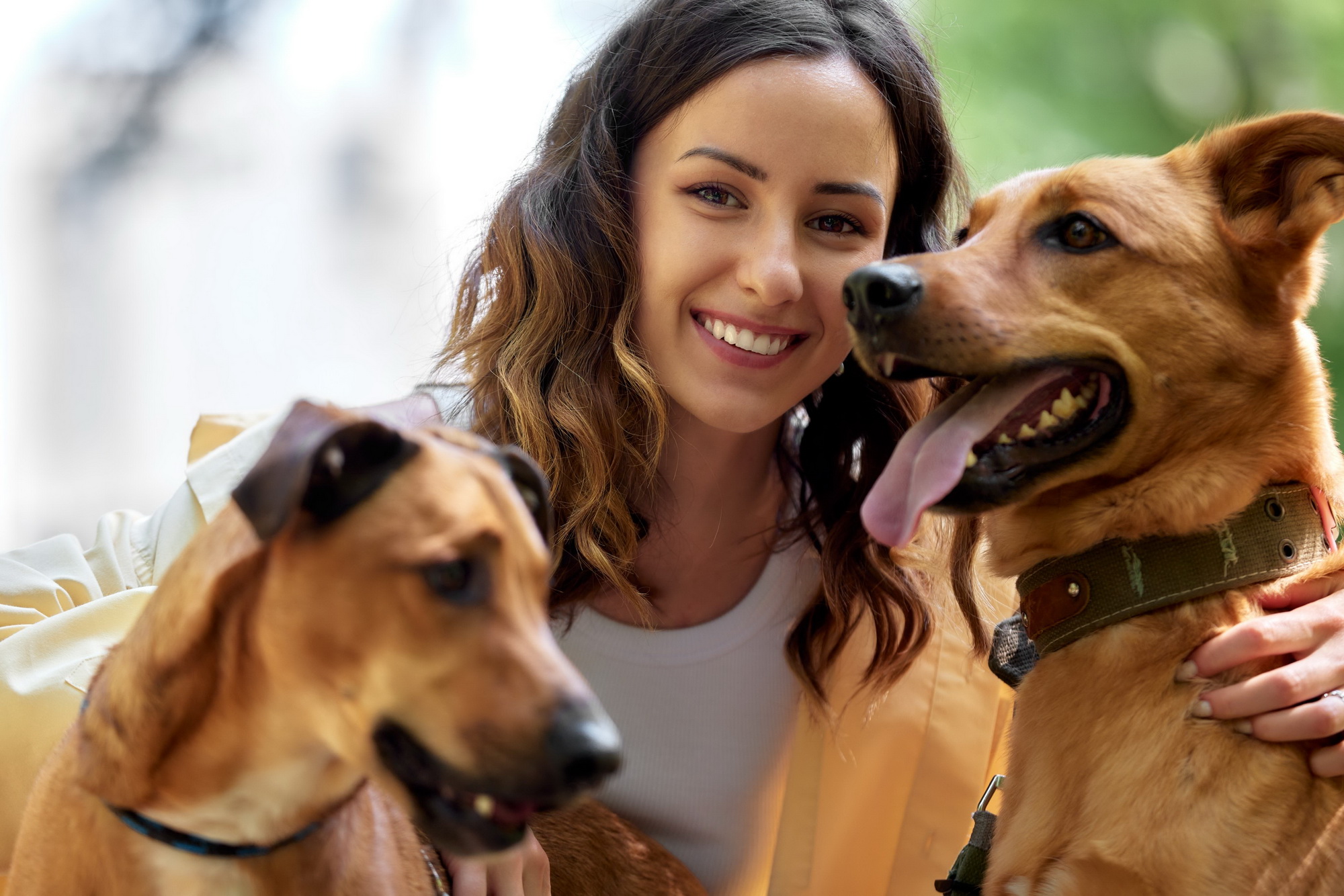 Probioticele – Secretul unei vieți sănătoase pentru animalele noastre de companie