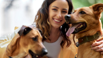 Probioticele – Secretul unei vieți sănătoase pentru animalele noastre de companie