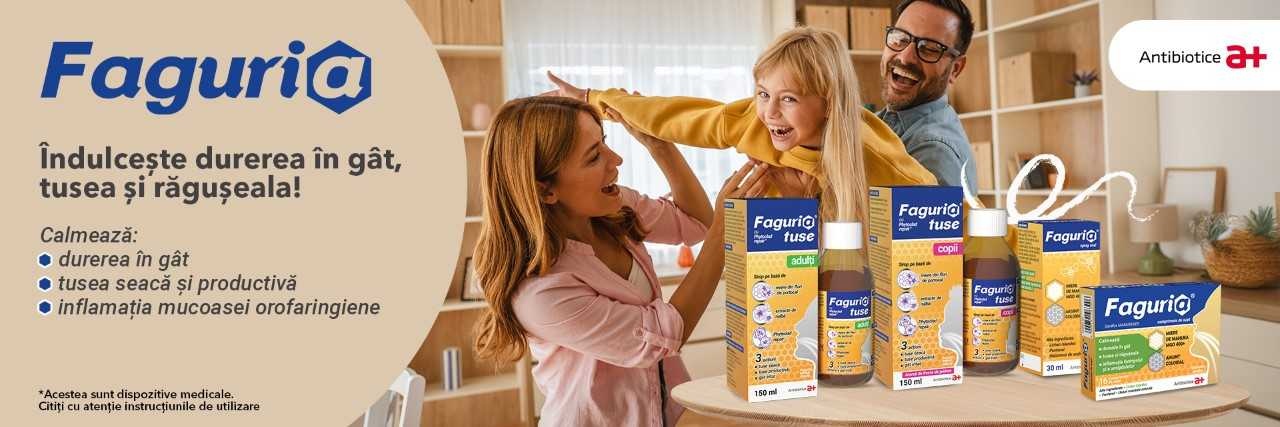 Faguria Banner