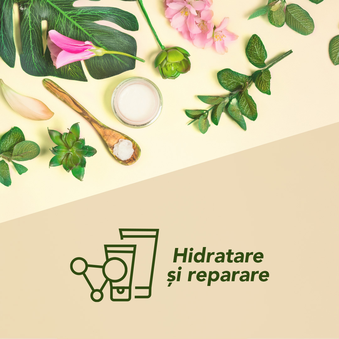 Hidratare și reparare