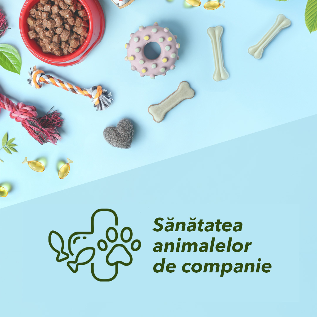 Sănătatea animalelor de companie