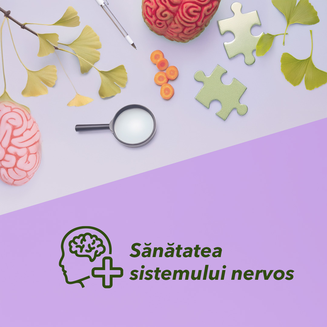 Sănătatea sistemului nervos