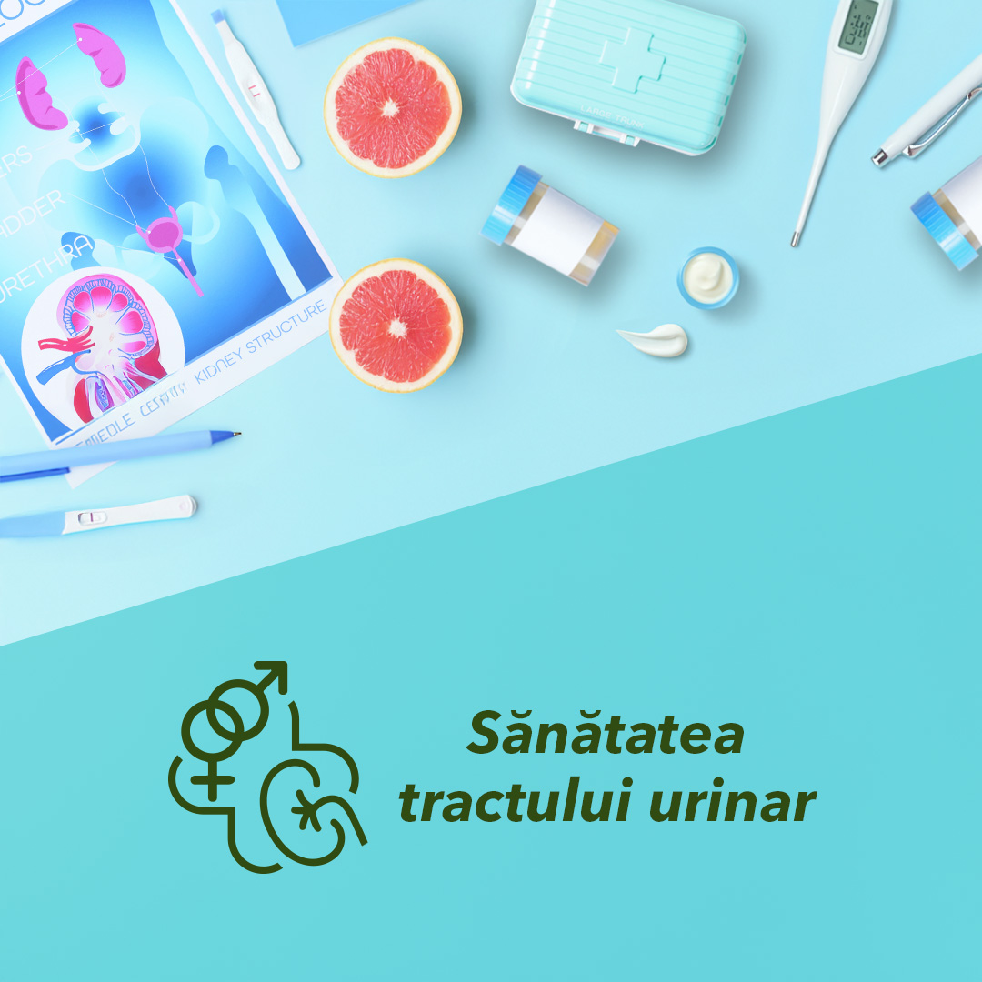 Sănătatea tractului urinar