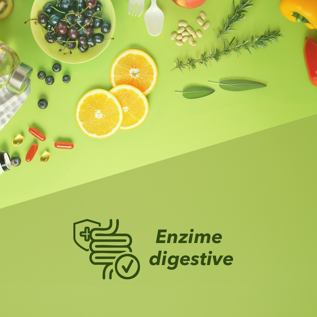 Enzime digestive