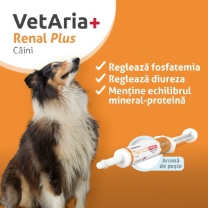 Pachet Plus Protecție Cardio-Renală - Img 4
