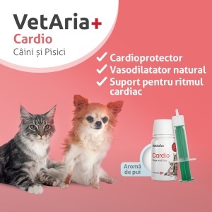 Pachet Protecție Cardio-Hepatică S (câini talie mică și pisici) - Img 2