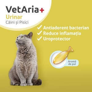 Pachet Îngrijire Avansată S ( câini de talie mică și pisici) - Img 2