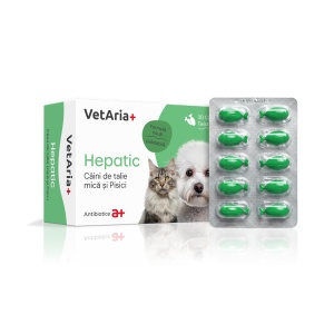 Pachet Protecție Cardio-Hepatică S (câini talie mică și pisici) - Img 6