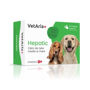 vetaria+hepatic-mare-nutraceutic