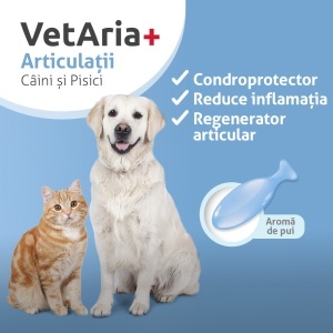 Pachet Prevenție – protecție completă pentru sănătatea patrupedului - Img 2