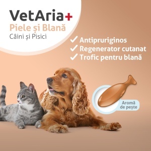 Pachet Prevenție – protecție completă pentru sănătatea patrupedului - Img 6