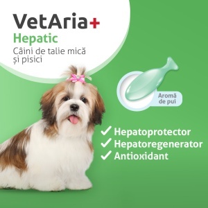 Pachet Protecție Cardio-Hepatică S (câini talie mică și pisici) - Img 4