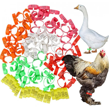 Set 100 inele cleme clipsuri de plastic ajustabile, porumbei sau alte pasari