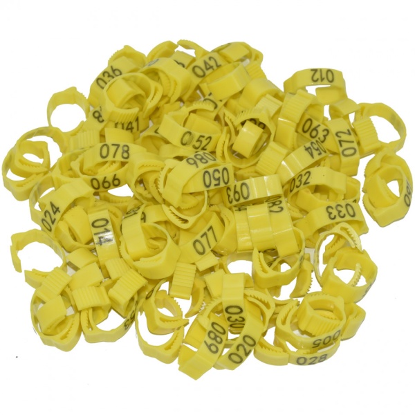 Set 100 inele cleme clipsuri de plastic ajustabile, porumbei sau alte pasari