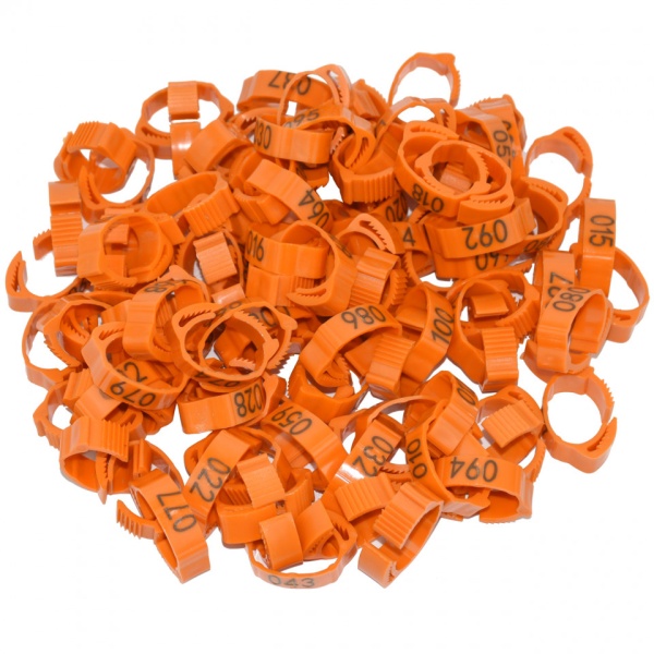 Set 100 inele cleme clipsuri de plastic ajustabile, porumbei sau alte pasari