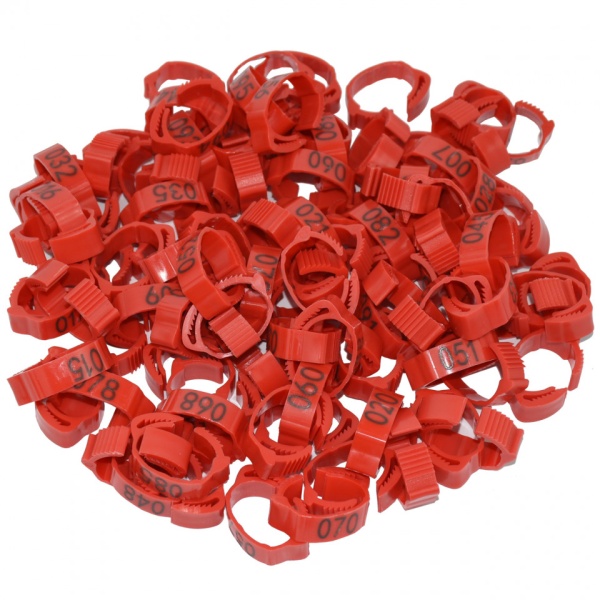 Set 100 inele cleme clipsuri de plastic ajustabile, porumbei sau alte pasari