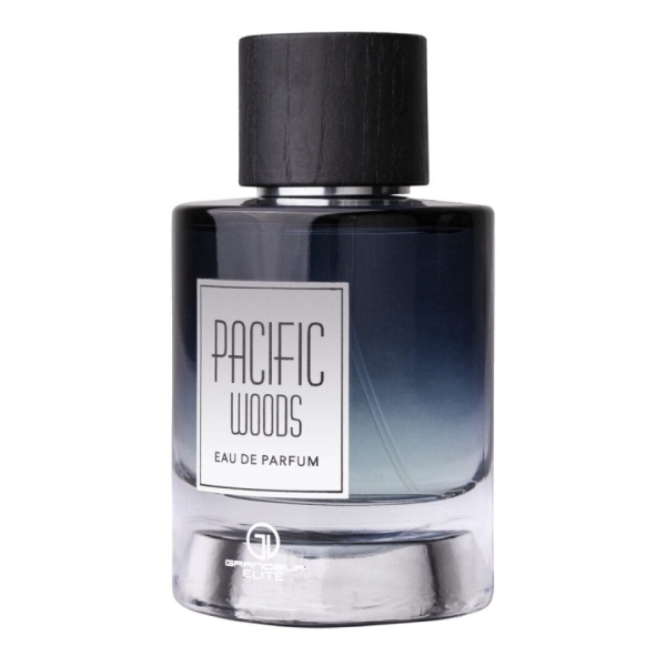 Apa de Parfum Pacific Oud, Grandeur Elite, Barbati - 100ml - Img 4