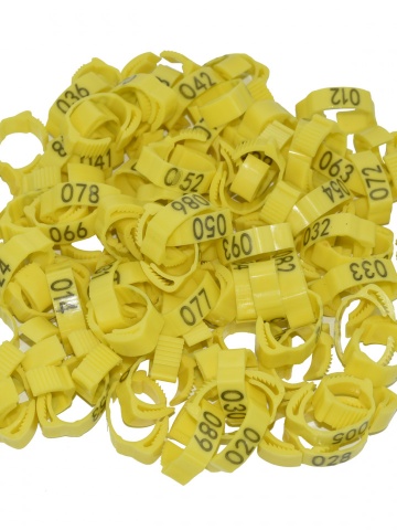Set 100 inele cleme clipsuri de plastic ajustabile, porumbei sau alte pasari