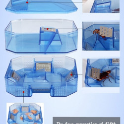Capcana pentru gandaci reutilizabila din plastic cu 4 zone si 2 nivele cu eficienta maxima - Img 5