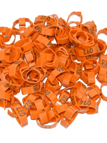 Set 100 inele cleme clipsuri de plastic ajustabile, porumbei sau alte pasari