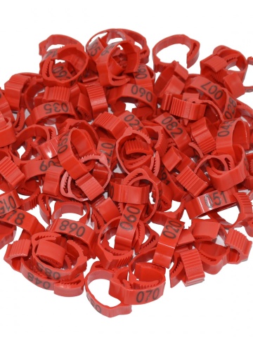 Set 100 inele cleme clipsuri de plastic ajustabile, porumbei sau alte pasari