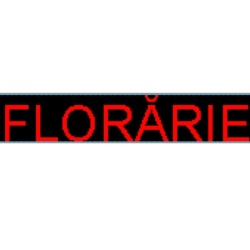 Panou Led de Exterior Programabil/Reclama Luminoasa 100x40 ROSU ideala pentru FLORARIE