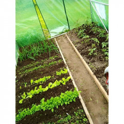 Sera tip tunel, 3.5x2x2 m, folie PE 140g/mp, cadru metalic, filtru UV4