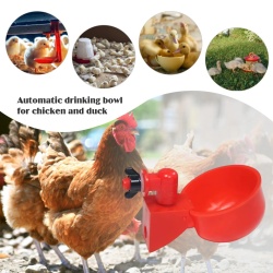 Set 10 dozatoare adapatoare de apa pentru pasari mai mari, Plastic, Automat, Rosu