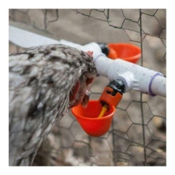 Set 5 dozatoare adapatoare de apa pentru pasari, Plastic, Automat, Rosu