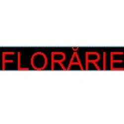 Panou Led de Exterior WIFI Programabil/Reclama Luminoasa 100x20 ROSU ideala pentru FLORARIE