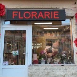 Panou Led de Exterior WIFI Programabil/Reclama Luminoasa 100x20 ROSU ideala pentru FLORARIE