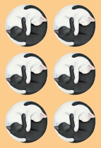 Tatuaj temporar pisici Yin si Yang