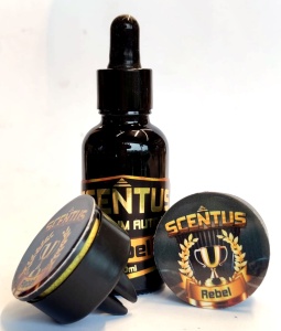 2-aparate-parfumare-la-ventilatie-auto-+-30ml-parfum