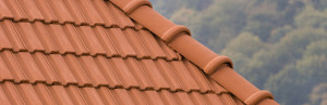 Tigla ceramica Valahia Aqua (Siceram) - Img 3