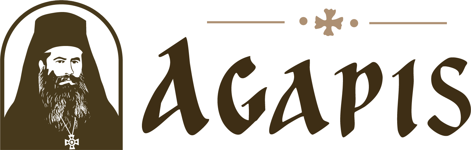 Editura Agapis
